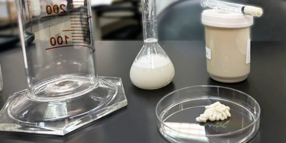 Cosmetic cream in a testing dish next to a flask in a cosmetics testing lab. 