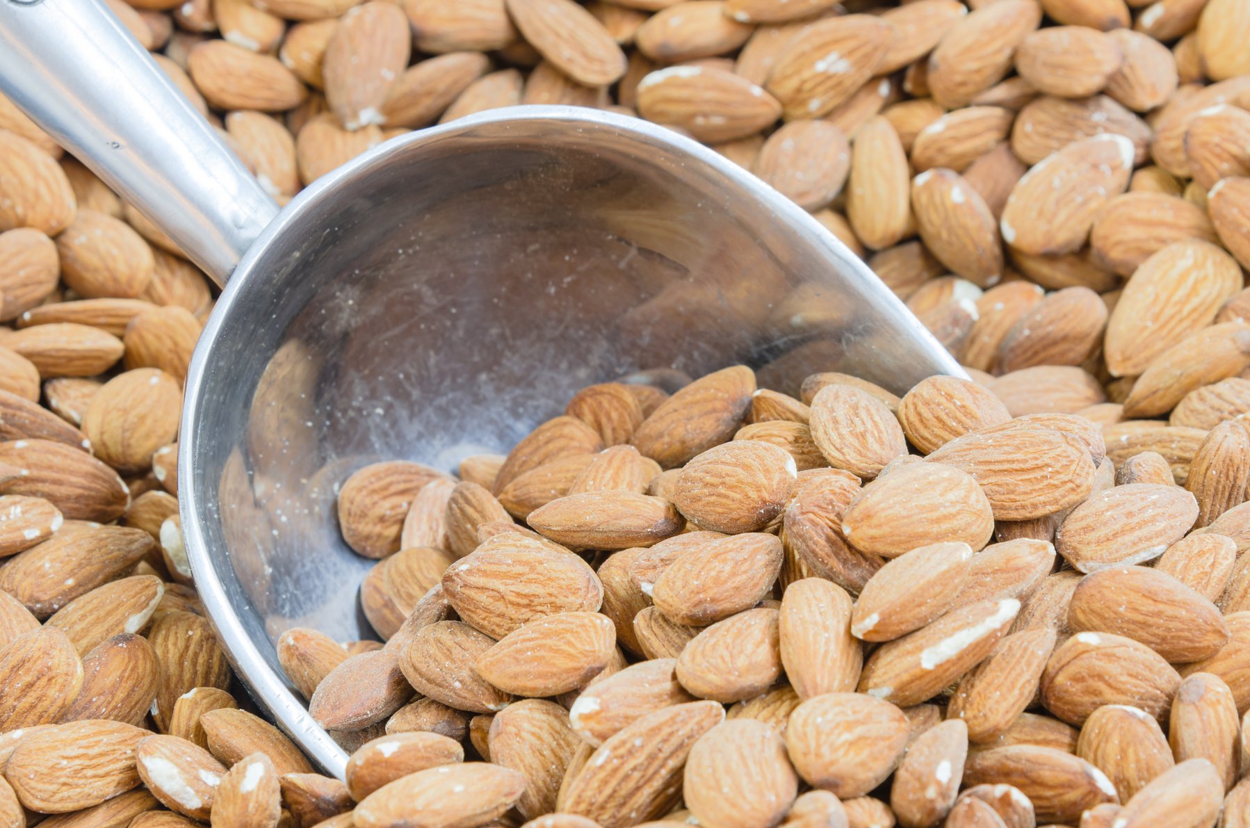 Your Complete Guide to Process Validation for Almonds